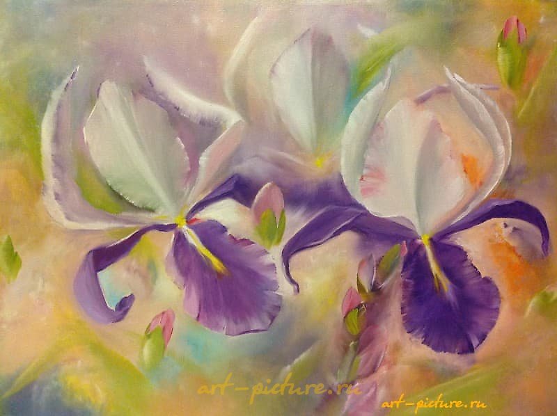 The translation of "Ирисы Масло" into English is "Iris Oil."