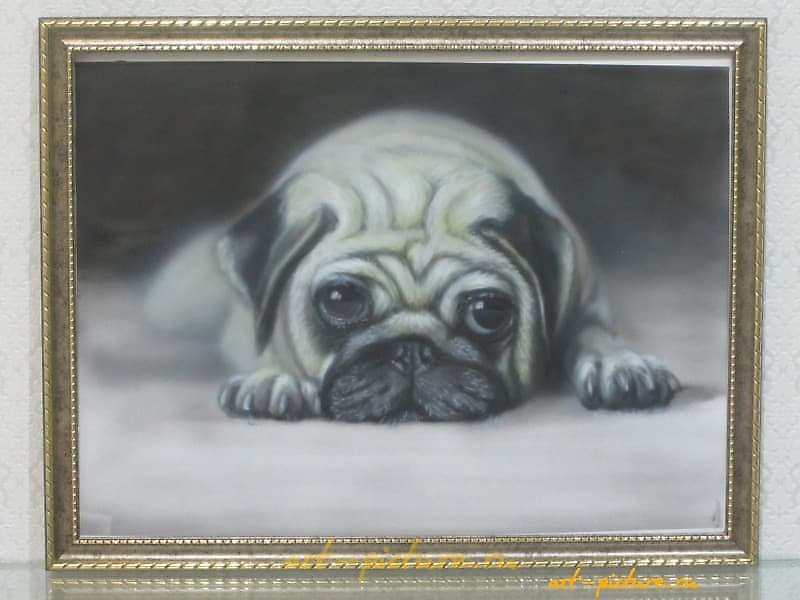 "Sad pug airbrush, paper"