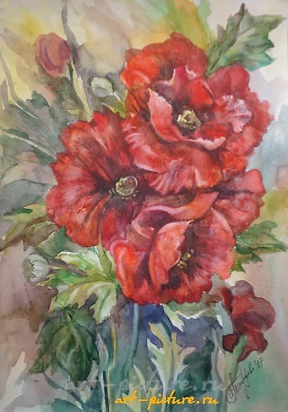 罂粟花水彩，纸张