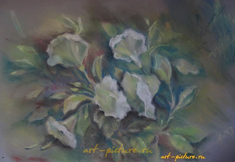 "White petunias pastel, pastel paper"