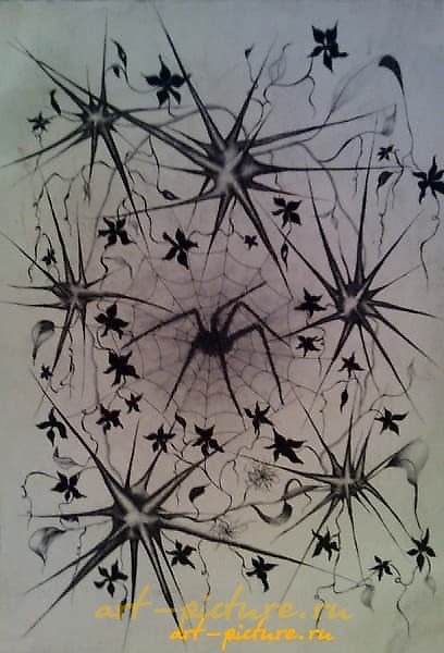 蜘蛛 纸 笔 触控笔