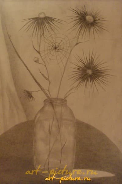 花朵与丝网纸，铅笔