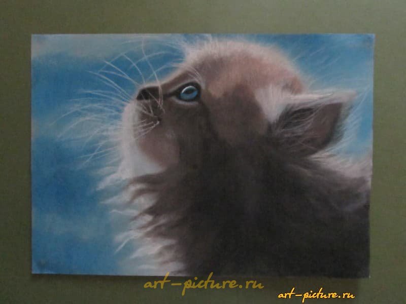 The translation of "Котенок сухая пастель, бумага" into English is "Kitten dry pastel, paper."