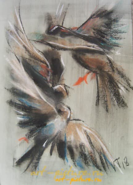 鸟类 粉彩，纸张