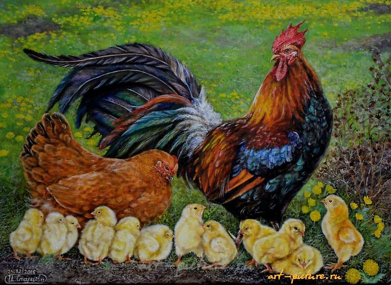 "Rooster family oil, canvas"