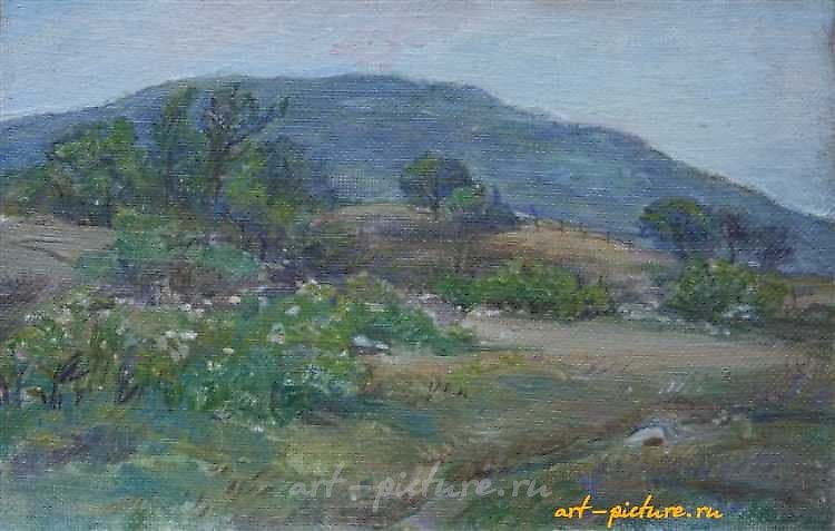 The translation of "Сельские окрестности" into English is "Rural surroundings" or "Countryside."