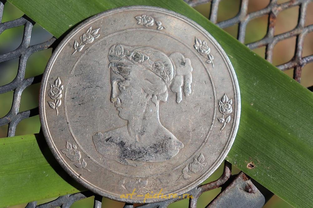 俄罗斯银 , 里加1894年的园艺协会