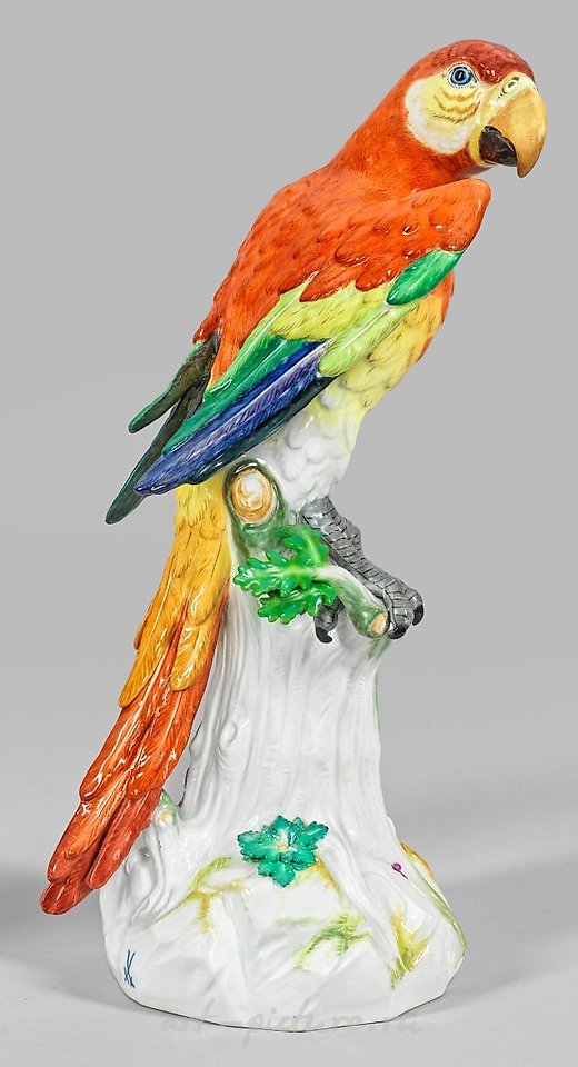 Great Papagei on a stump