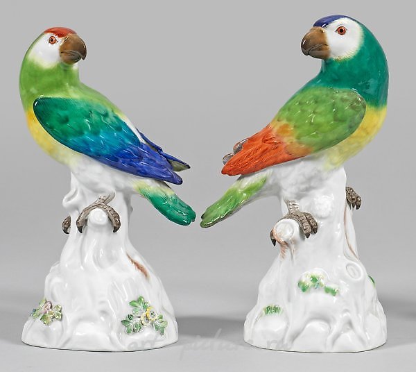 A pair of parrots as counterparts.
