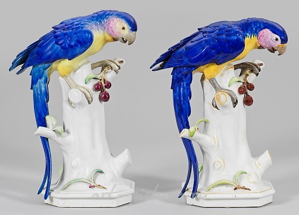 一些大的动物图案 "带樱花枝的鹦鹉"