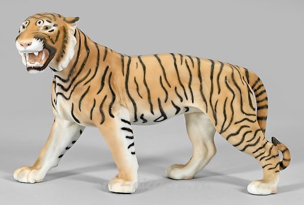 咆哮、迈步的老虎。