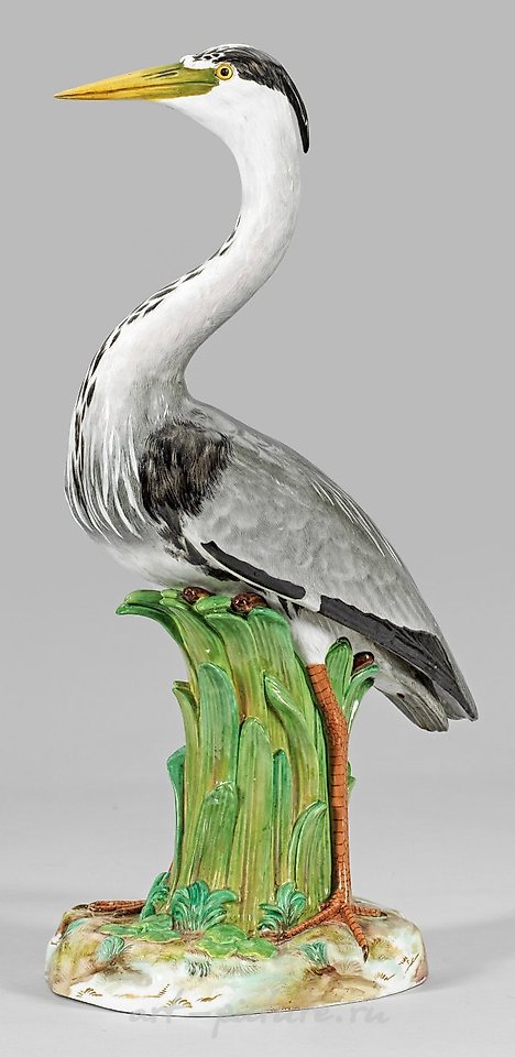 稀有而壮丽的形象“渔夫”