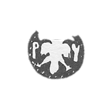 1681-1682 年 莫斯科市 “双头鹰有字母P和U”