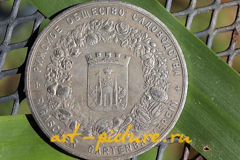 俄罗斯银, 里加1894年的园艺协会