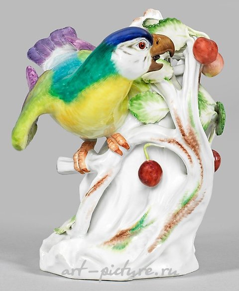 在樱桃树上的一页