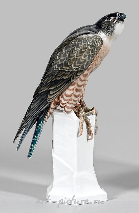 Wanderfalke translates to "Peregrine Falcon" in English.