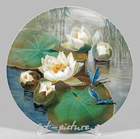 A rare wall plate in the Art Nouveau style from Meissen, decorated with a decor of water lilies