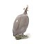 "Guinea fowl. Denmark, Copenhagen, Royal Copenhagen, 1898-1923."