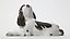 Spaniel. Denmark, Lyngby Porcelain