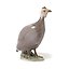 "Guinea fowl. Denmark, Copenhagen, Royal Copenhagen, 1898-1923."