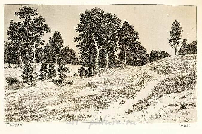 Etching: history of origin and varieties