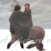 Витебский живописец Кухто Сергей Васильевич (1959-1999)