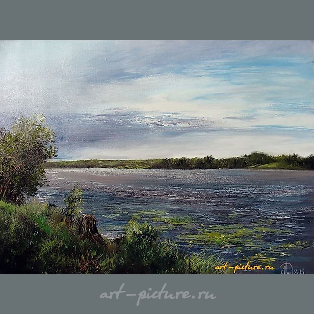 Плёс.Зелёный бережок масло,холст
