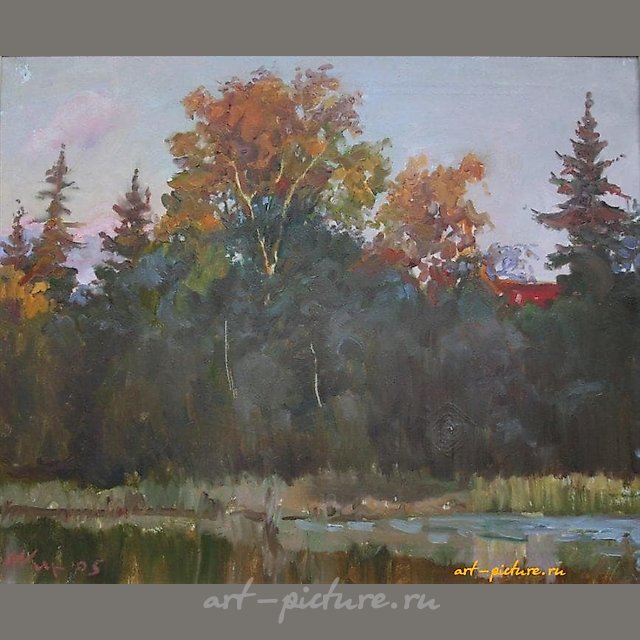 Луч закатный. Холст, масло. 50 х 60 см