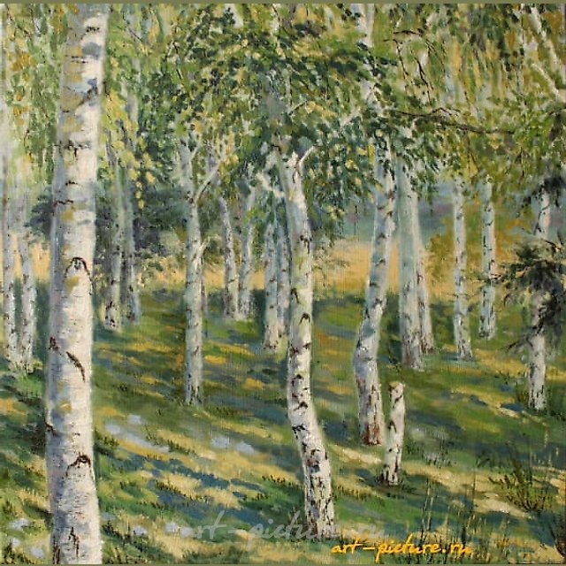 Березки масло, холст 