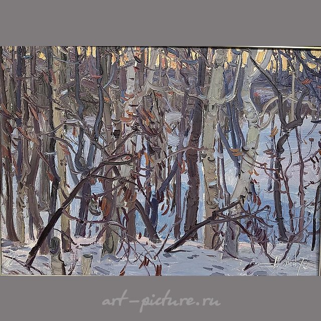 Зимний лес