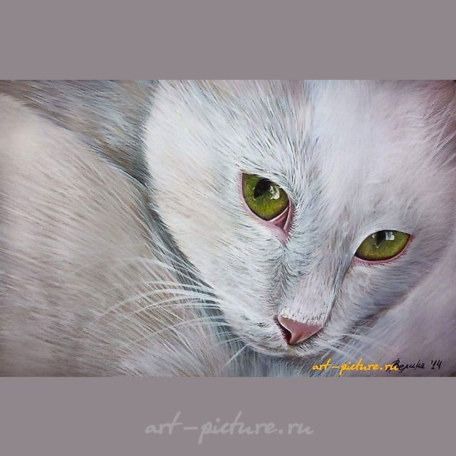 "Коть" акриль,акварельная бумага 