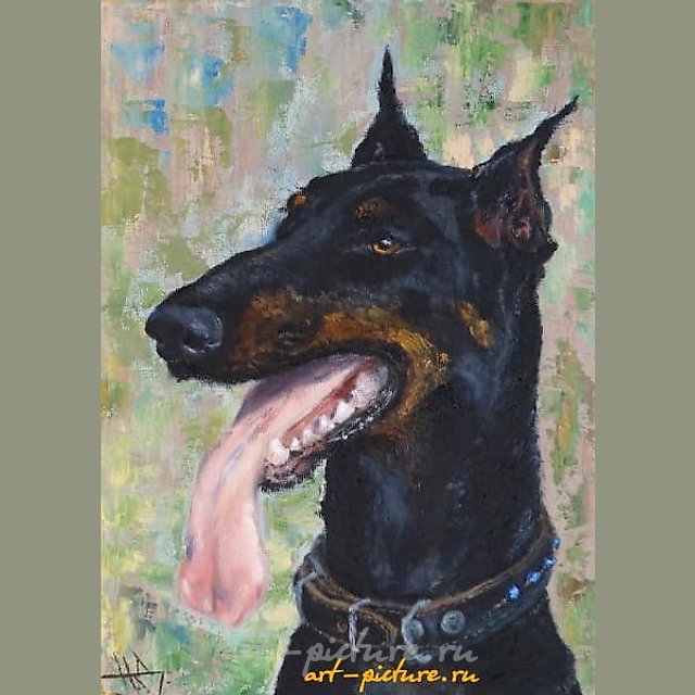 The translation of "портрет добермана масло, холст" into English is "portrait of a Doberman, oil on canvas."