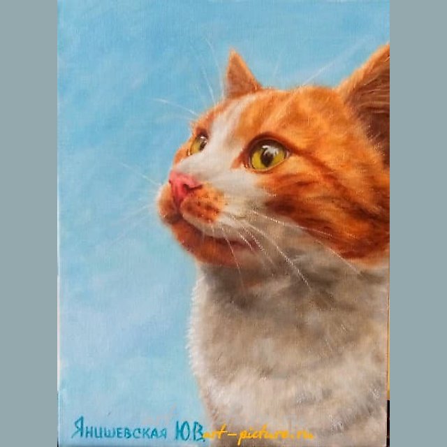 Рыжий масло, холст на картоне 