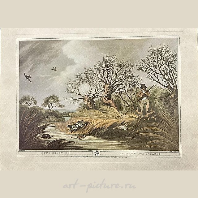 Стрельба по уткам. Мэтью Дюбур, Matthew Dubourg (1786–1838)