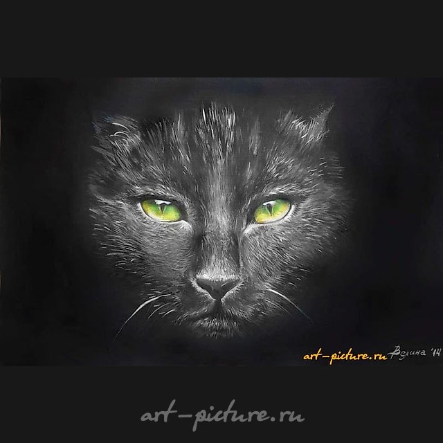 "Коть" акриль,акварельная бумага 