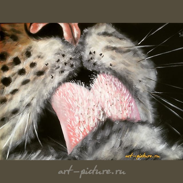 "Macro oil, canvas"