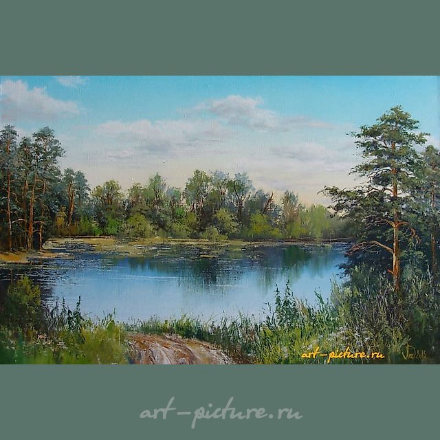 Летний пейзаж масло,холст