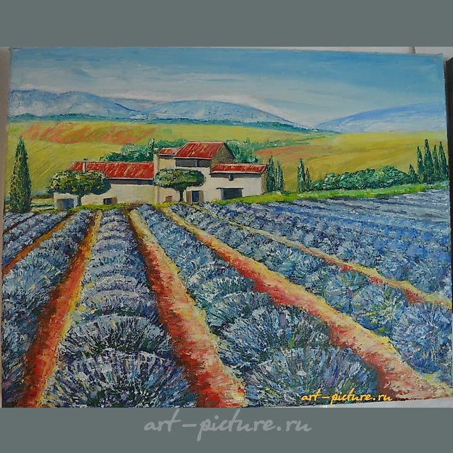 Запах Прованса холст, масло 