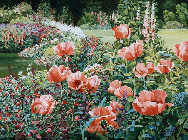 红色罂粟花，油画布，60x80厘米，1500美元
