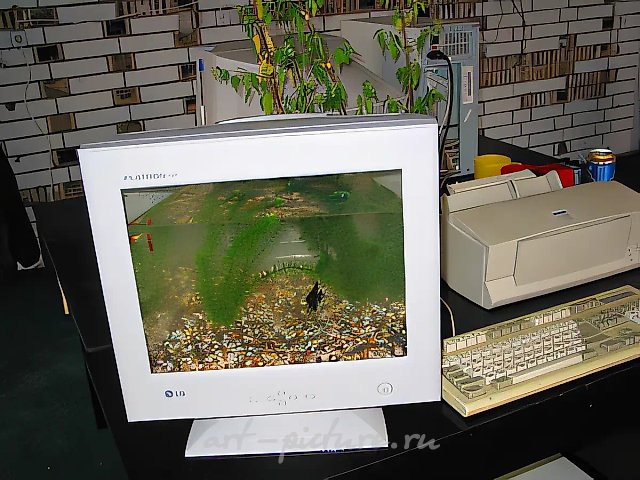 Bio-Office, 2001, инсталляция. Фестиваль под открытым небом «Арт-Клязьма», Подмосковье, 2001