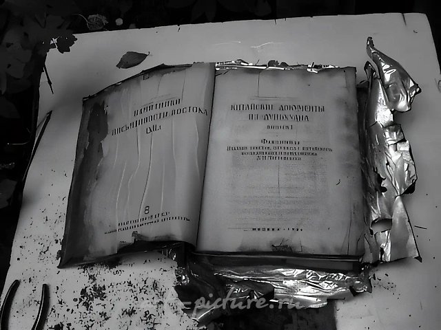 THE LIBRARY- 2005, 2005,  ,   A drawing taken from a set of 13 Chinese postcards defined which book from 13 possible titles, which had been buried during “The Library” performance (1997), was to be unearthed. The book selected was “Chinese documents from Dunkhuan” published in 1983.