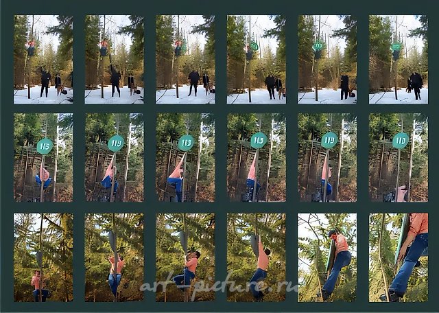 Пересечение-3, 2009. Обнаружив 11 апреля 2009 года, что круг с номером 113 из акции «Пересечение-2» упал с дерева на землю, было решено перенести его на место с захороненными книгами из акции «Библиотека»