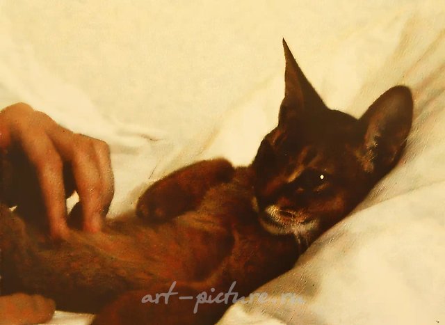 «Мурка», 2002, видео, 30 сек, зацикленное (стоп-кадр)
