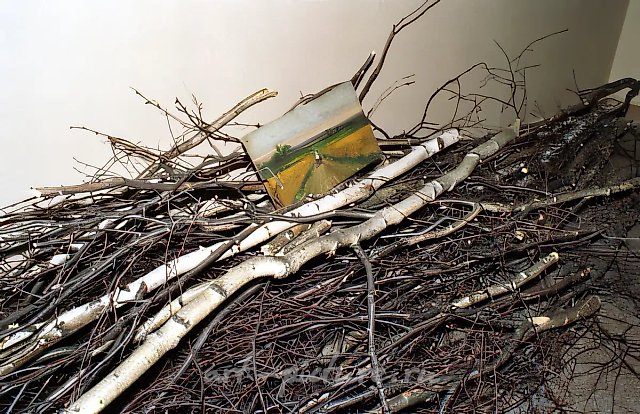 Подъезд N1. Инсталляции на пролетах лестницы., 1993, инсталляция,   Автор пейзажа П.А.Кадышев, прадед А.Алексеева. Собственность авторов