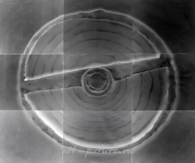 Без названия, 1991, Ч/Б фотография, 48х55 см Собственность автора