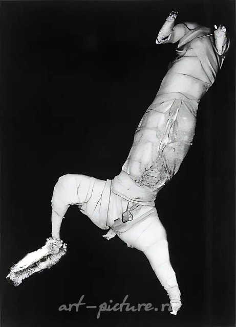 Без названия, 1995, Ч/Б фотография, 60х30 см Собственность автора
