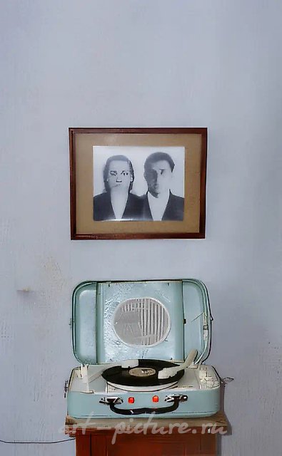 Психоботаника, 1989, Найденное Ч/Б фото, действующий проигрыватель, собранный из двух, 80 х 40 х 40 см Собственность автора