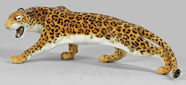 Striding, hissing leopard.