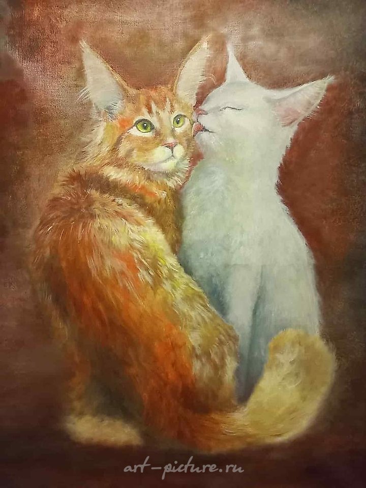 猫的爱
