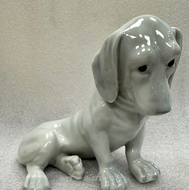 "Sad dog, HEUBACH, GERMANY"